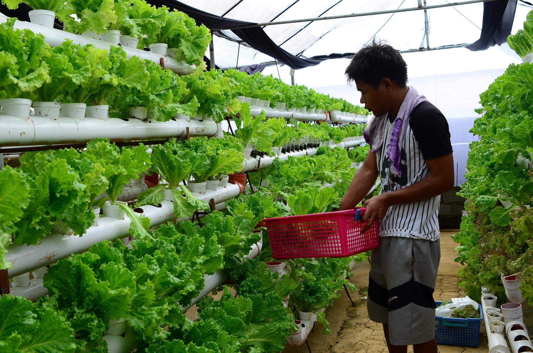 Farm Tours