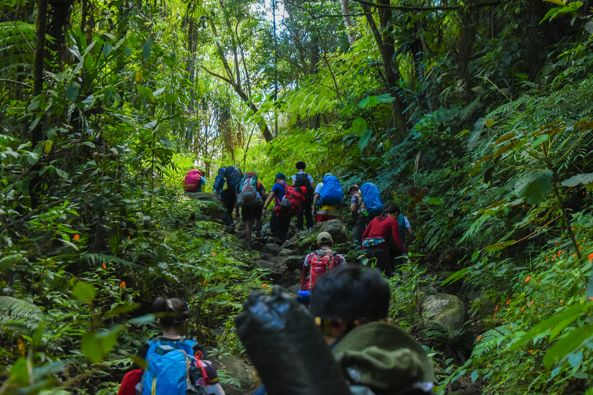 Hiking