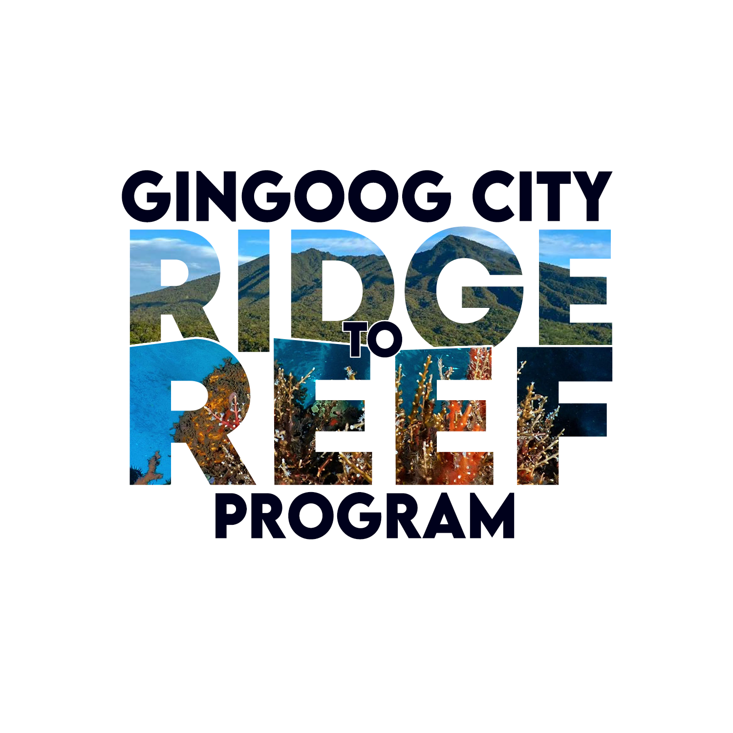 GUIDED TOURS (RIDGE TO REEF)