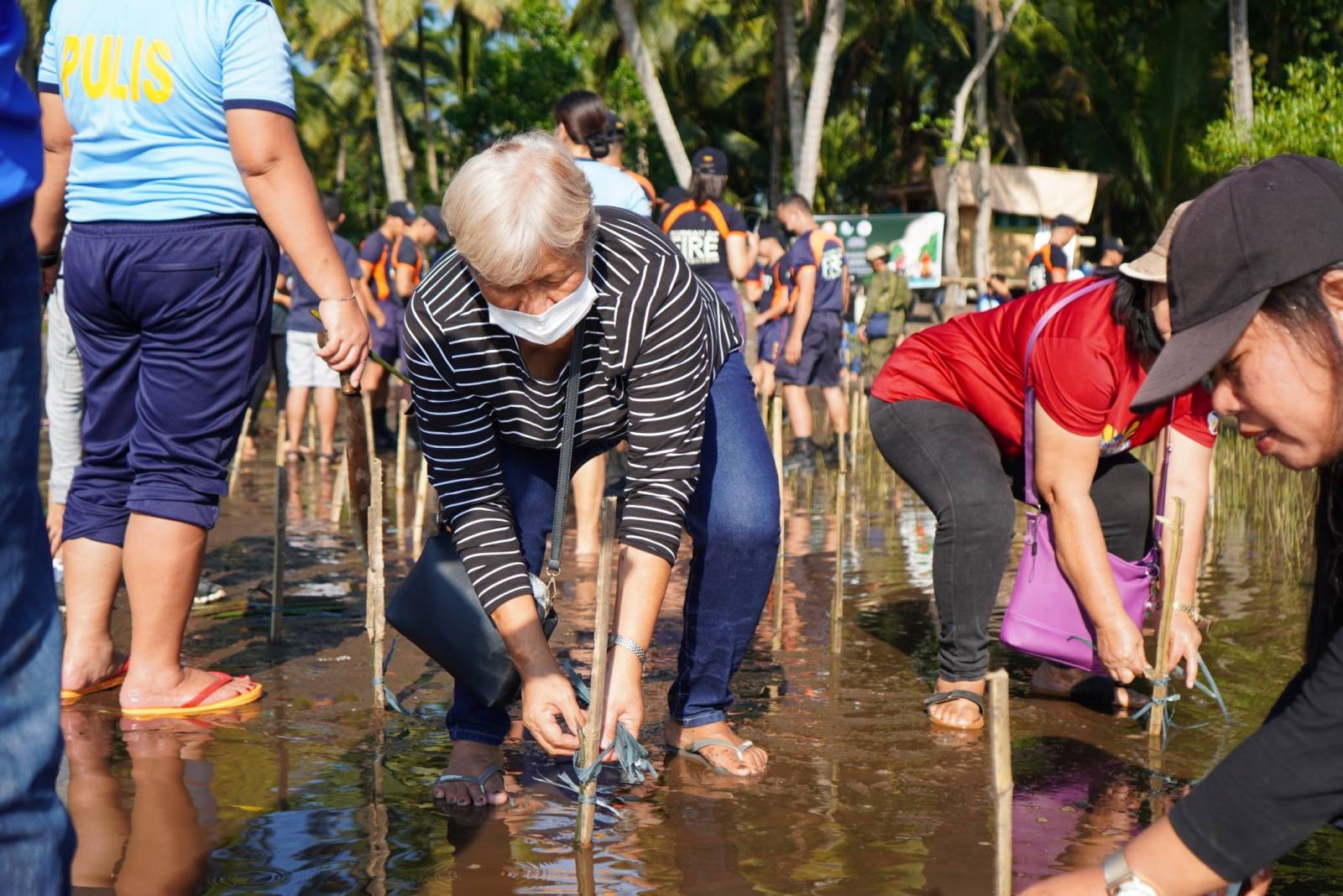 MASSIVE Tree/Bamboo/Mangrove Planting